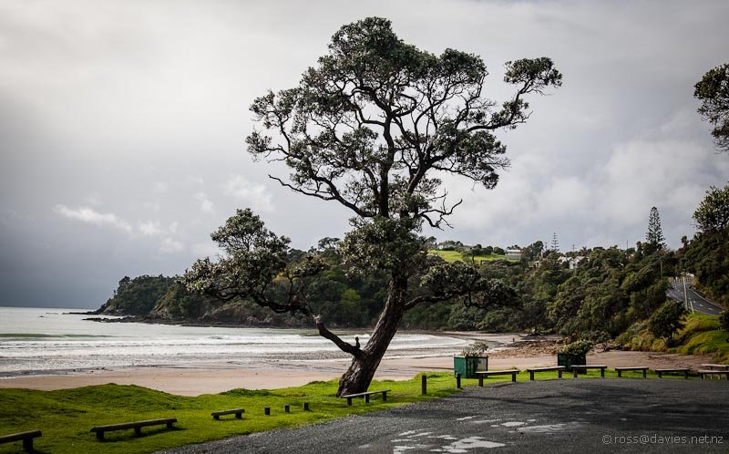Looking back across the bay from the road end, Sandy Bay surf spot, Northland East, New Zealand.